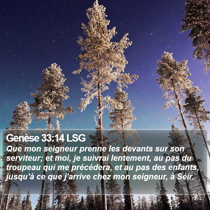 Genèse 33:14 LSG Bible Study