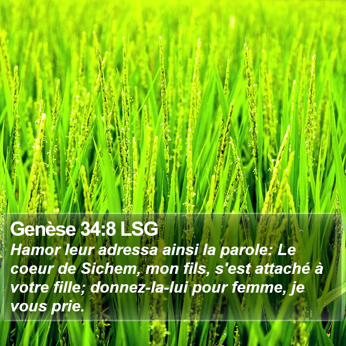 Genèse 34:8 LSG Bible Study