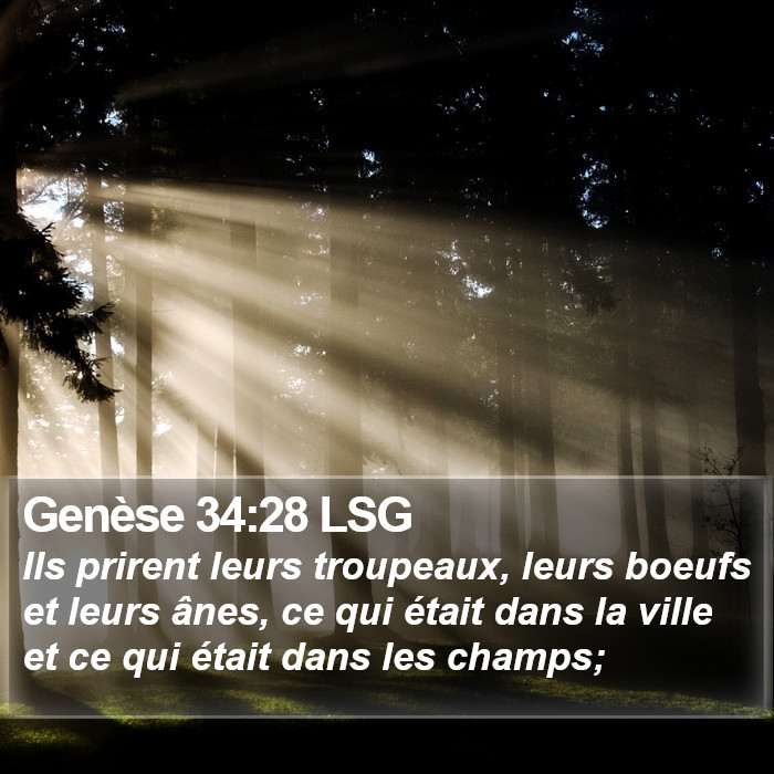 Genèse 34:28 LSG Bible Study