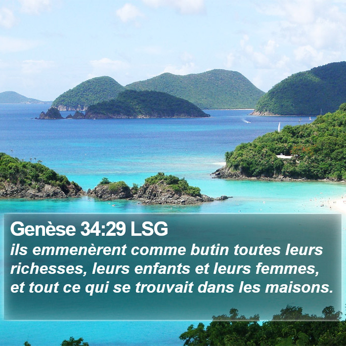 Genèse 34:29 LSG Bible Study