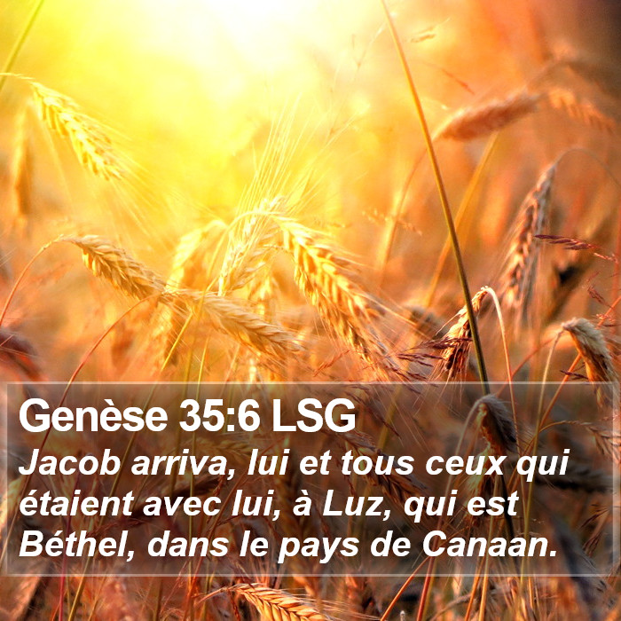 Genèse 35:6 LSG Bible Study