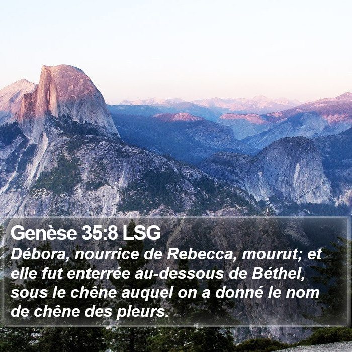 Genèse 35:8 LSG Bible Study