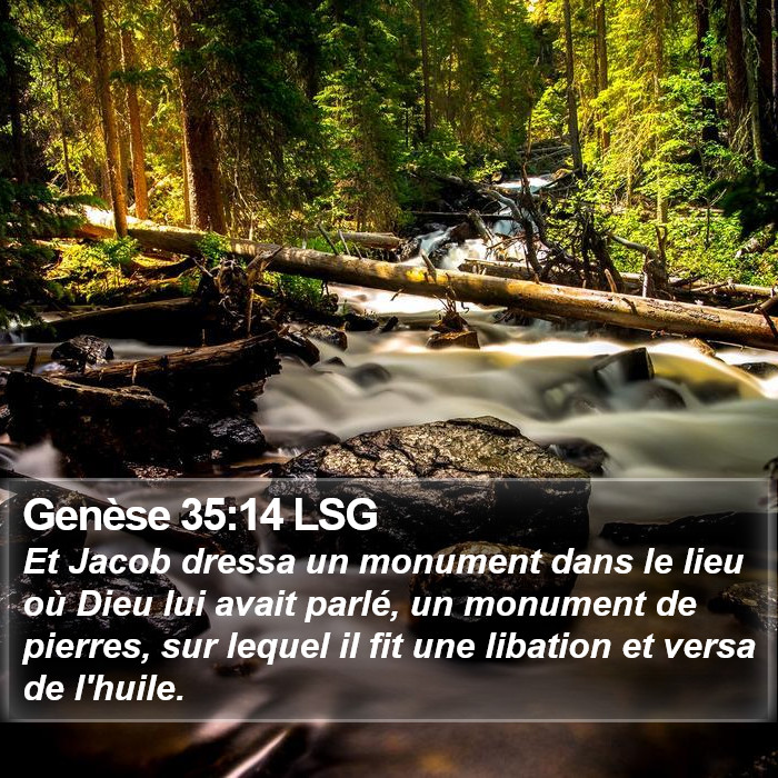 Genèse 35:14 LSG Bible Study