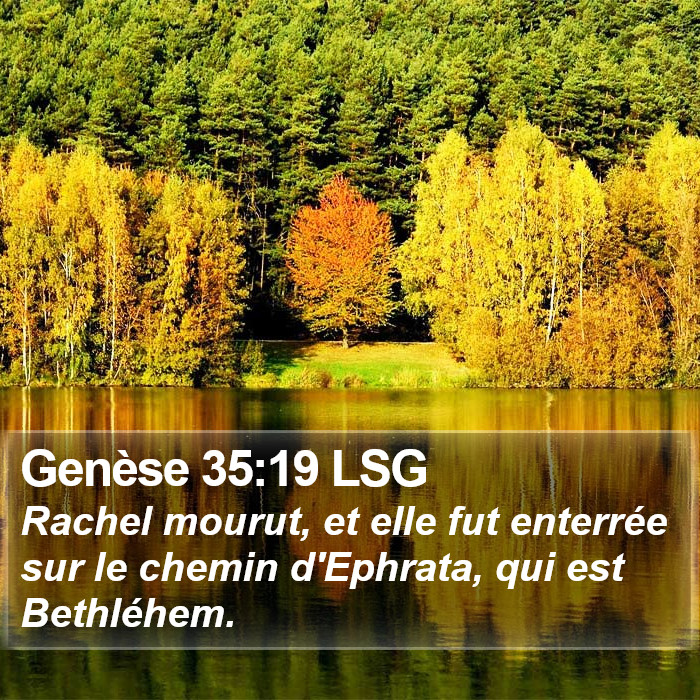 Genèse 35:19 LSG Bible Study