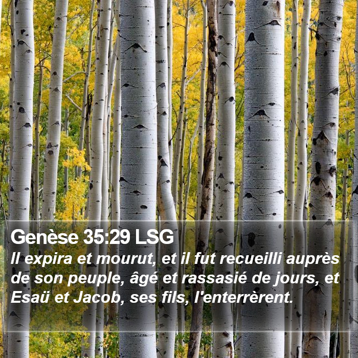 Genèse 35:29 LSG Bible Study