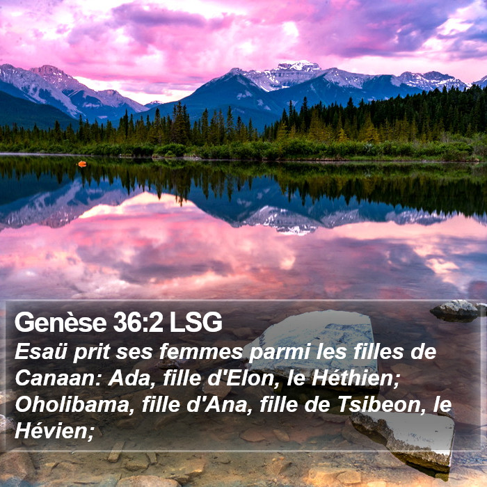 Genèse 36:2 LSG Bible Study