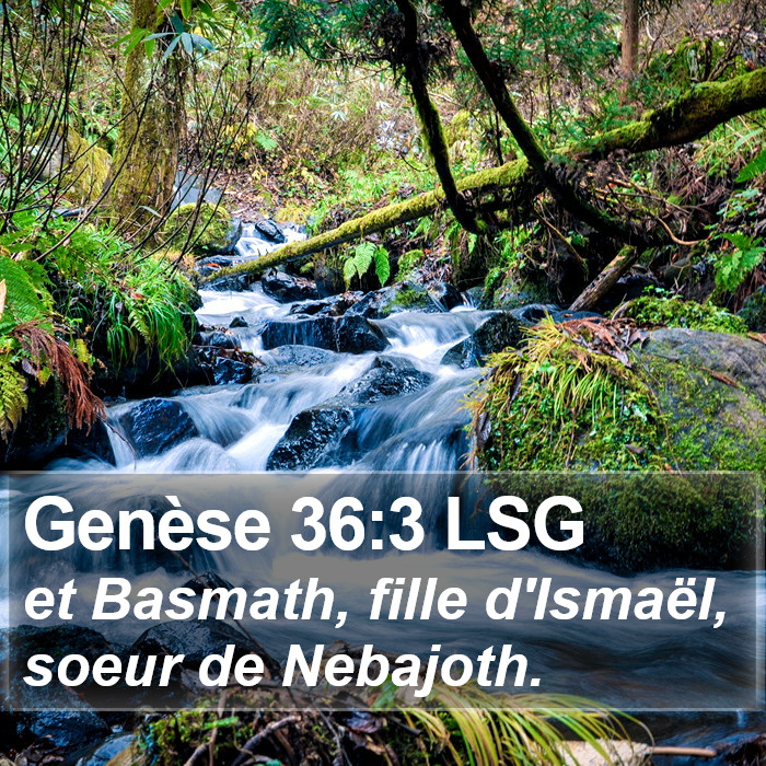 Genèse 36:3 LSG Bible Study