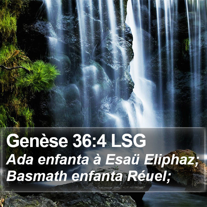 Genèse 36:4 LSG Bible Study