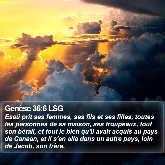 Genèse 36:6 LSG Bible Study