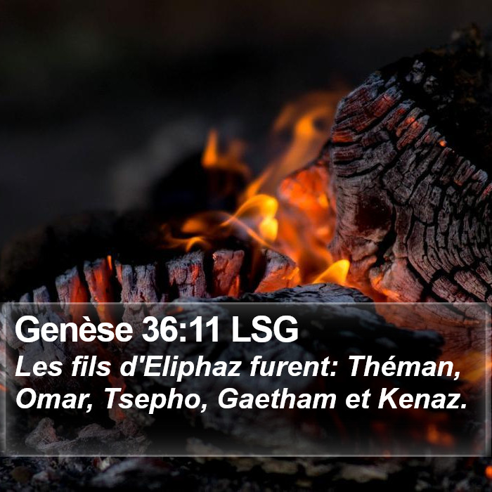 Genèse 36:11 LSG Bible Study