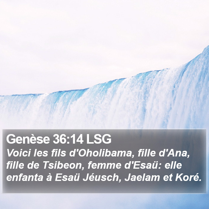 Genèse 36:14 LSG Bible Study