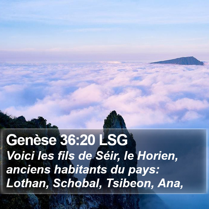 Genèse 36:20 LSG Bible Study