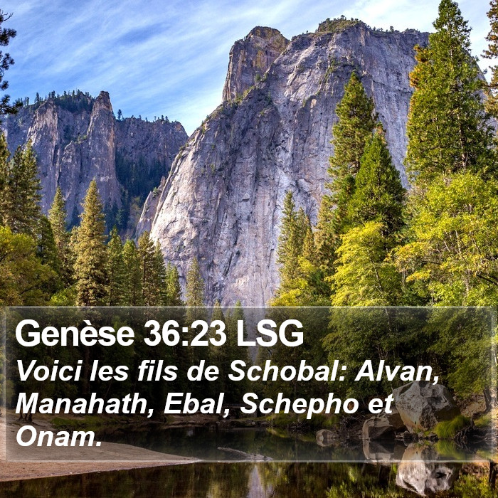 Genèse 36:23 LSG Bible Study