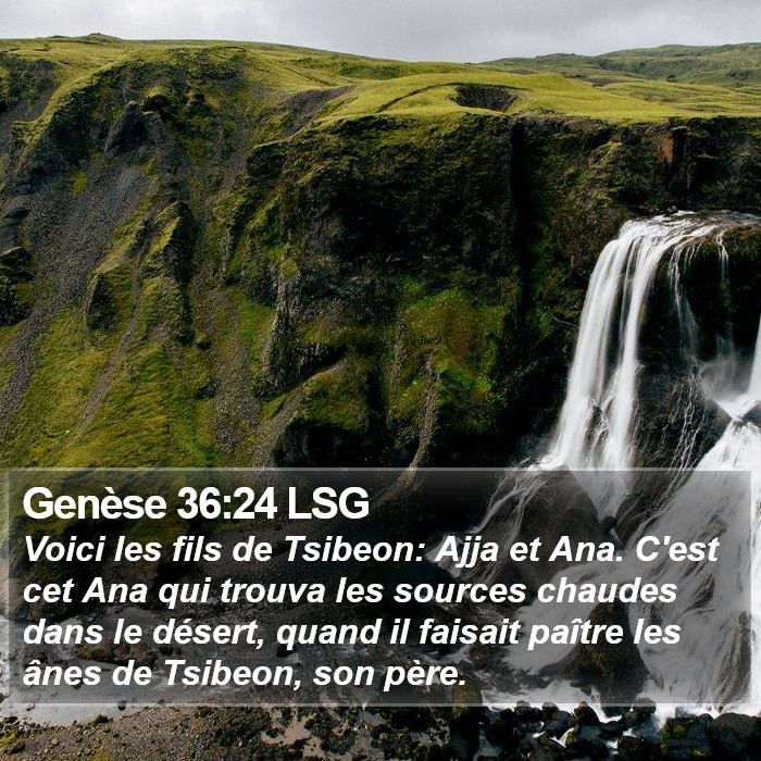 Genèse 36:24 LSG Bible Study