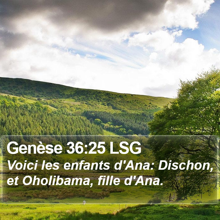 Genèse 36:25 LSG Bible Study