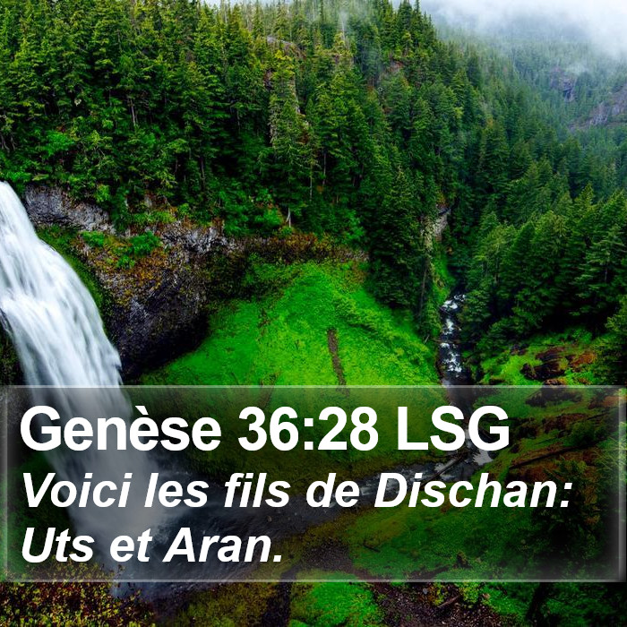 Genèse 36:28 LSG Bible Study