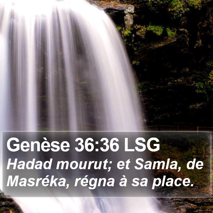 Genèse 36:36 LSG Bible Study