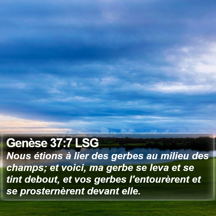 Genèse 37:7 LSG Bible Study