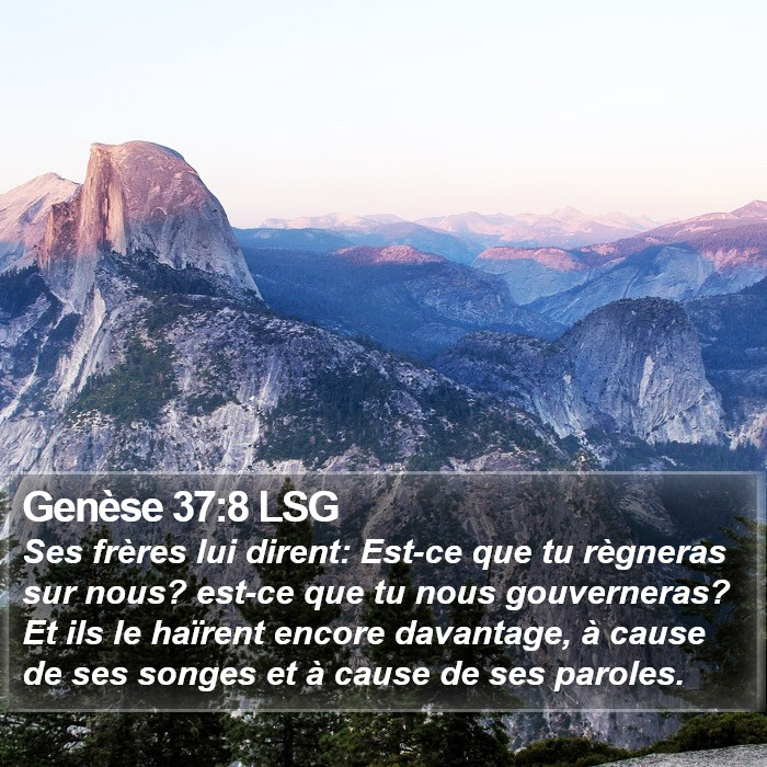 Genèse 37:8 LSG Bible Study