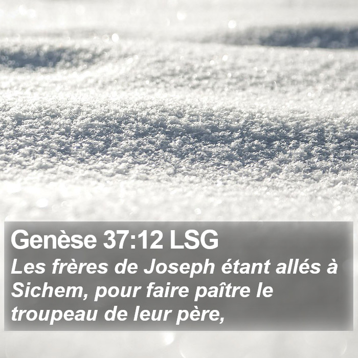 Genèse 37:12 LSG Bible Study