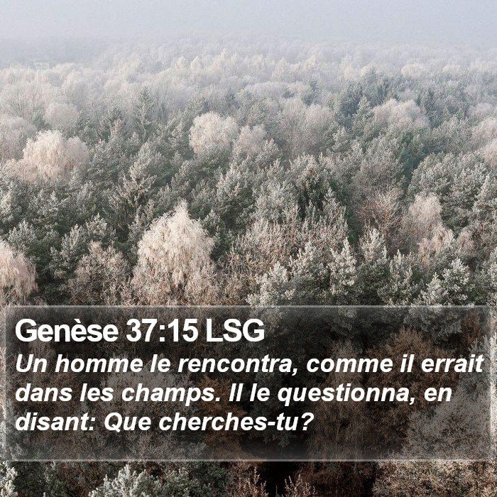 Genèse 37:15 LSG Bible Study