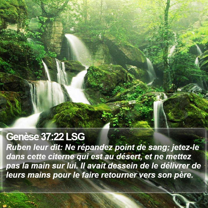 Genèse 37:22 LSG Bible Study