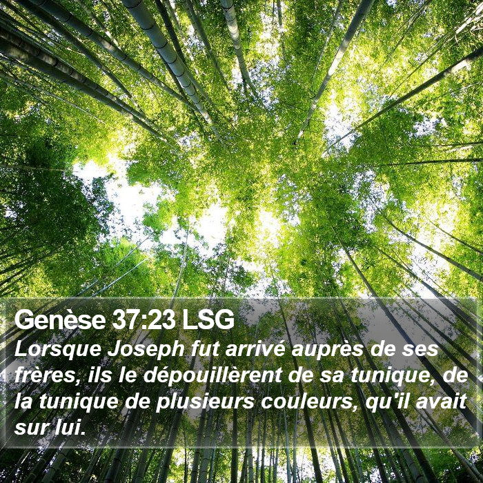 Genèse 37:23 LSG Bible Study