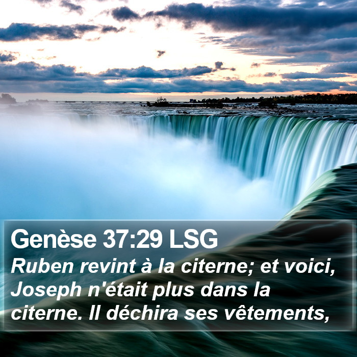 Genèse 37:29 LSG Bible Study