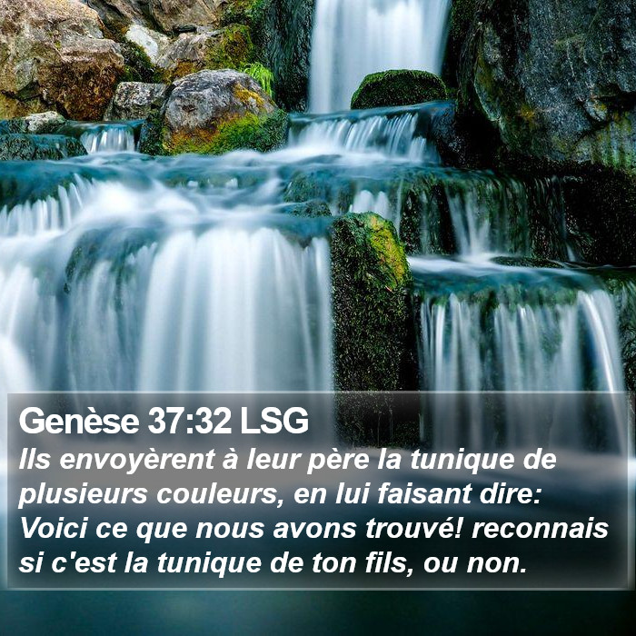 Genèse 37:32 LSG Bible Study