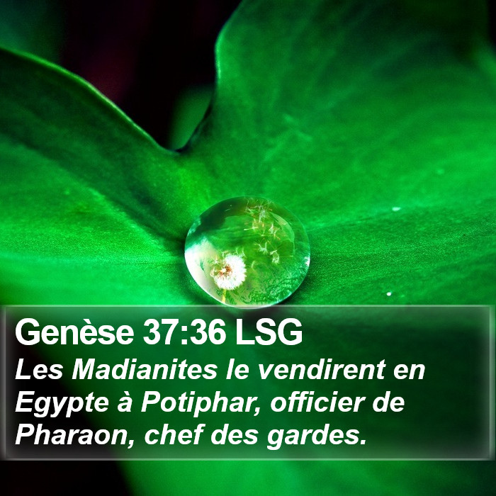 Genèse 37:36 LSG Bible Study