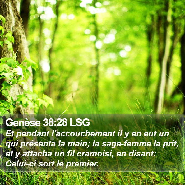 Genèse 38:28 LSG Bible Study