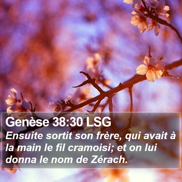 Genèse 38:30 LSG Bible Study