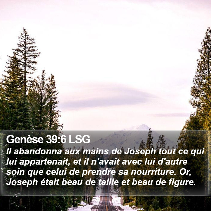 Genèse 39:6 LSG Bible Study