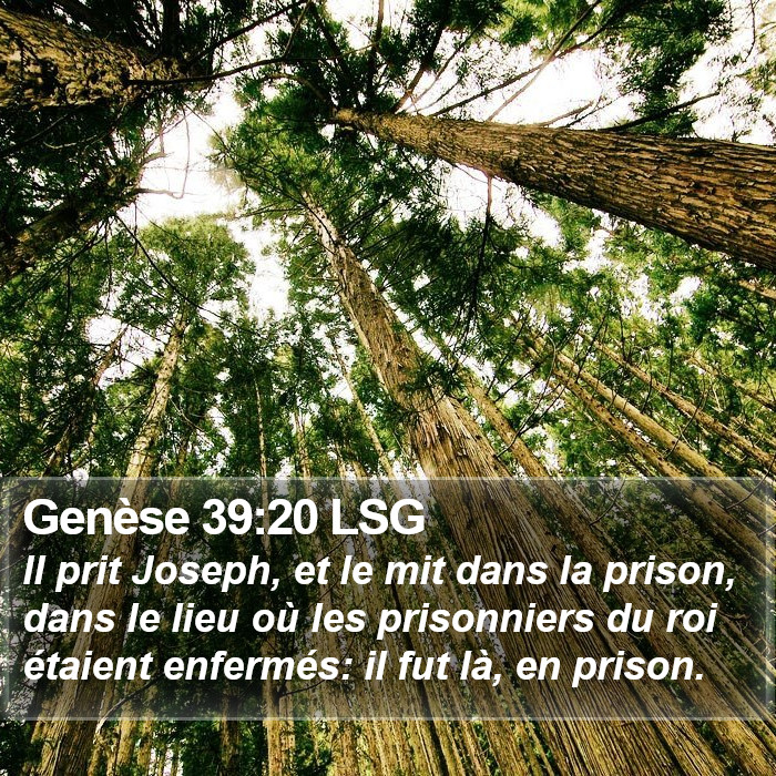 Genèse 39:20 LSG Bible Study