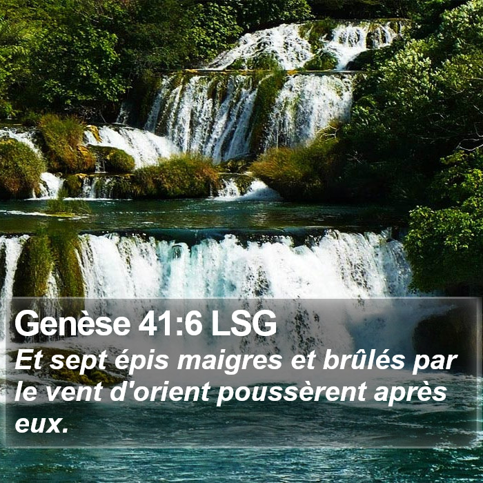 Genèse 41:6 LSG Bible Study