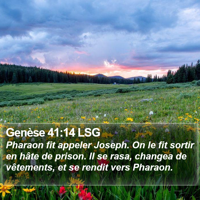 Genèse 41:14 LSG Bible Study