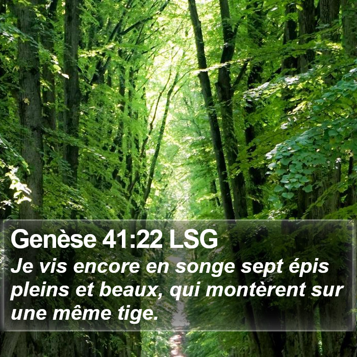 Genèse 41:22 LSG Bible Study