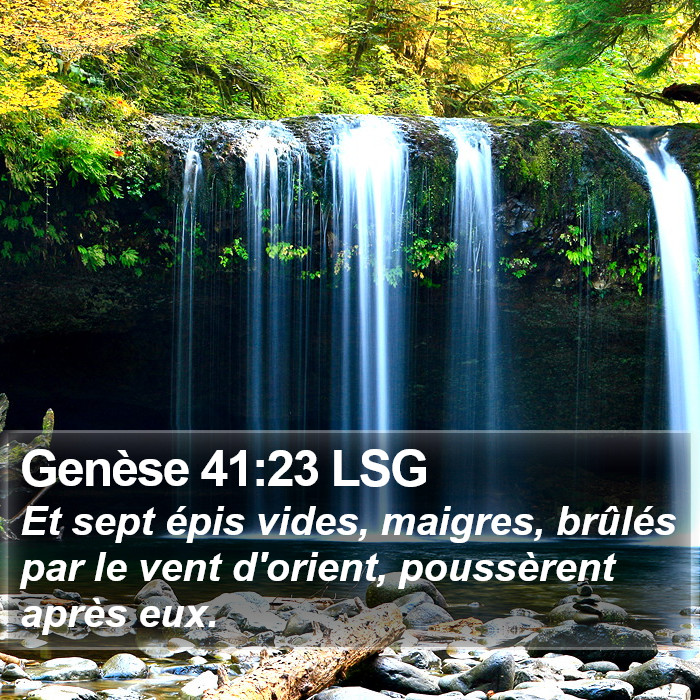 Genèse 41:23 LSG Bible Study