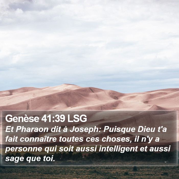 Genèse 41:39 LSG Bible Study