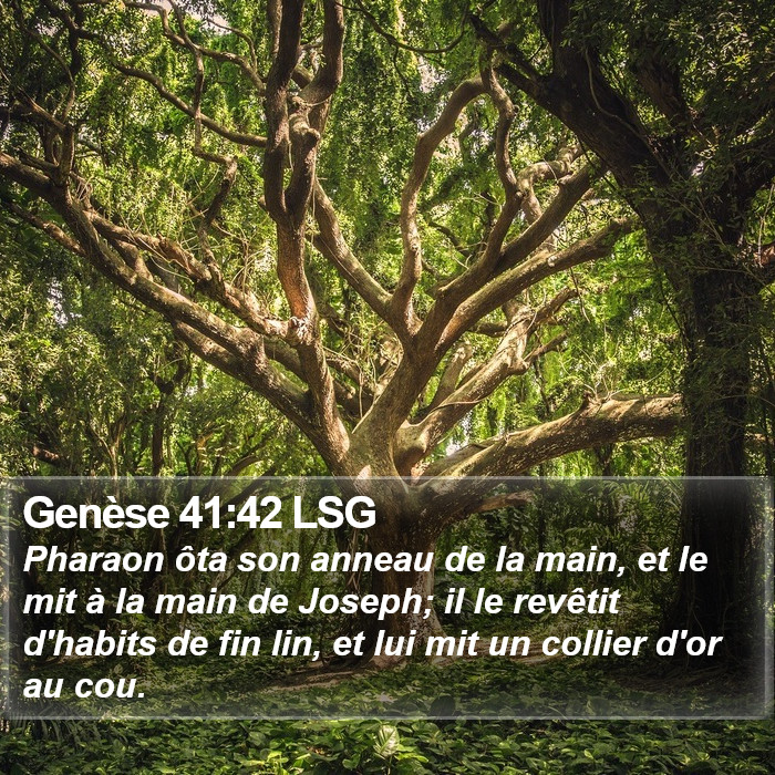 Genèse 41:42 LSG Bible Study
