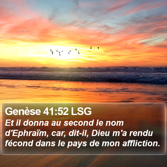 Genèse 41:52 LSG Bible Study