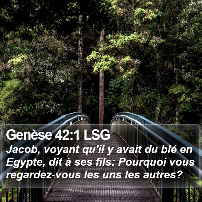 Genèse 42:1 LSG Bible Study