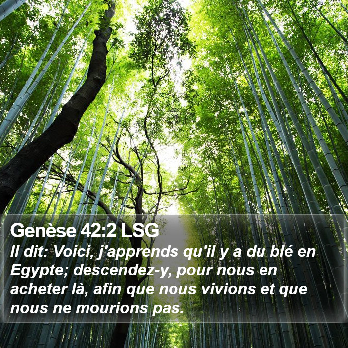 Genèse 42:2 LSG Bible Study