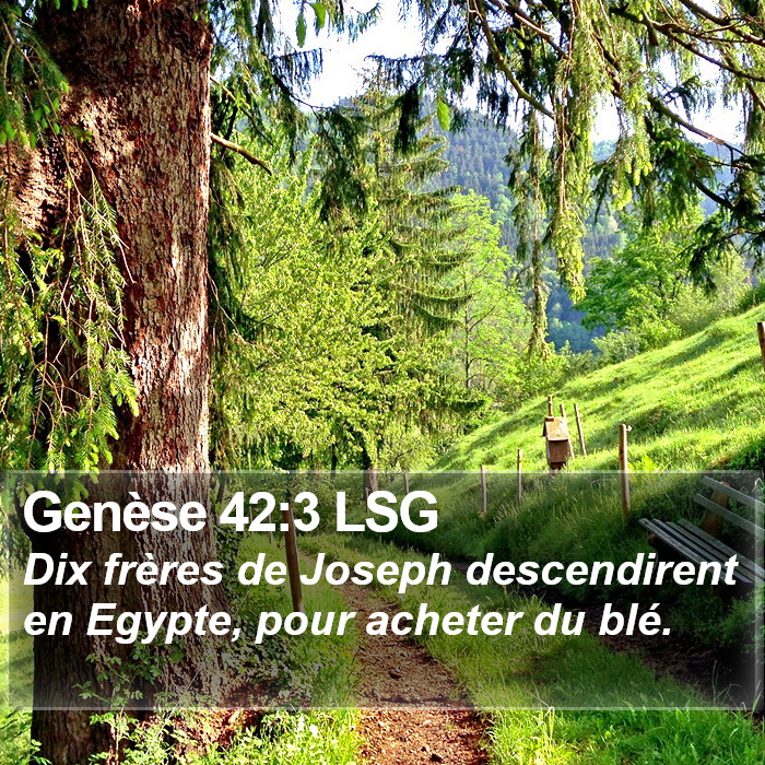 Genèse 42:3 LSG Bible Study