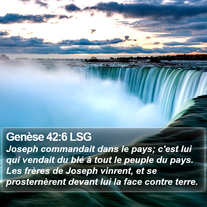 Genèse 42:6 LSG Bible Study