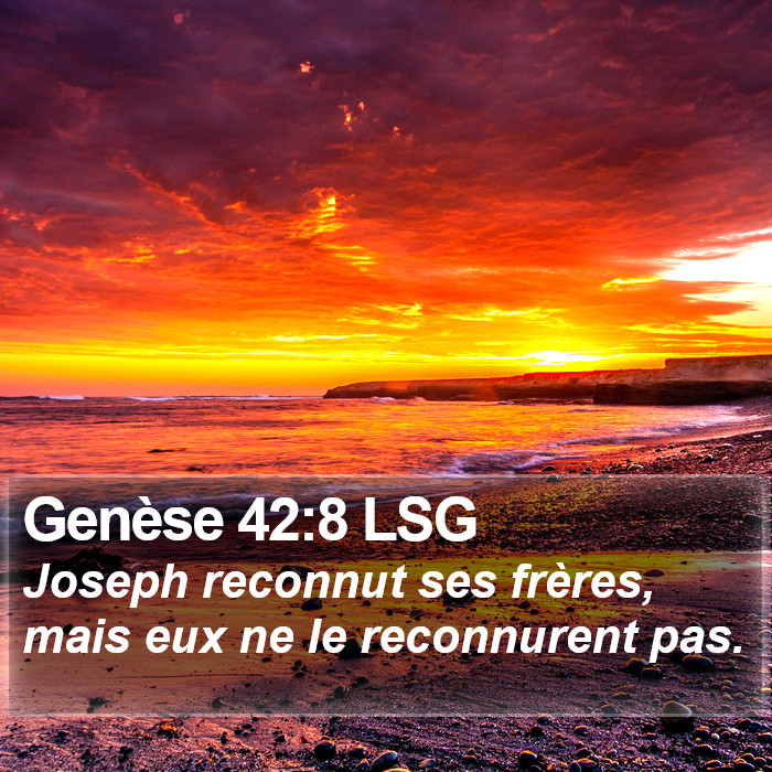 Genèse 42:8 LSG Bible Study