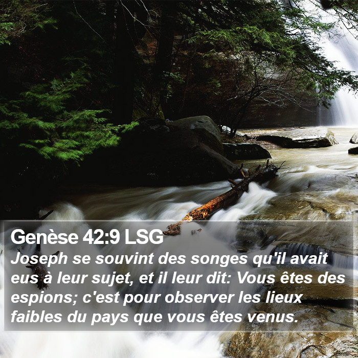 Genèse 42:9 LSG Bible Study