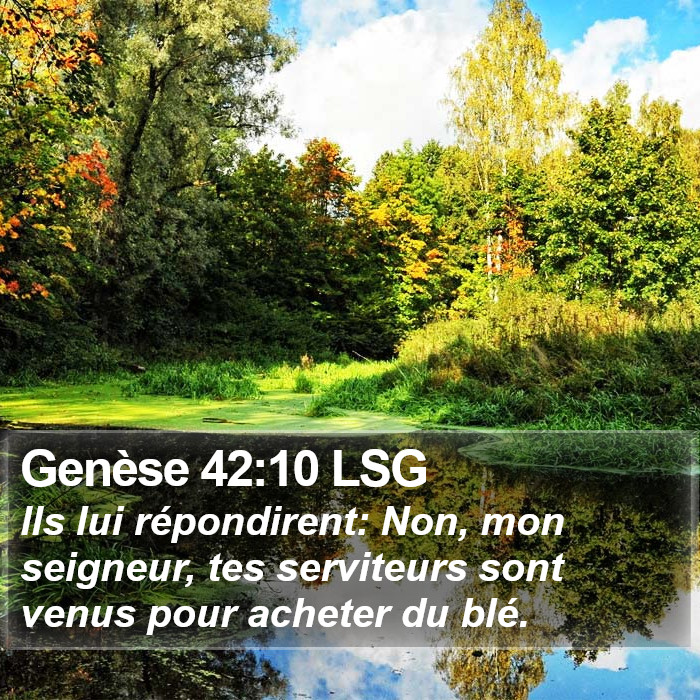 Genèse 42:10 LSG Bible Study