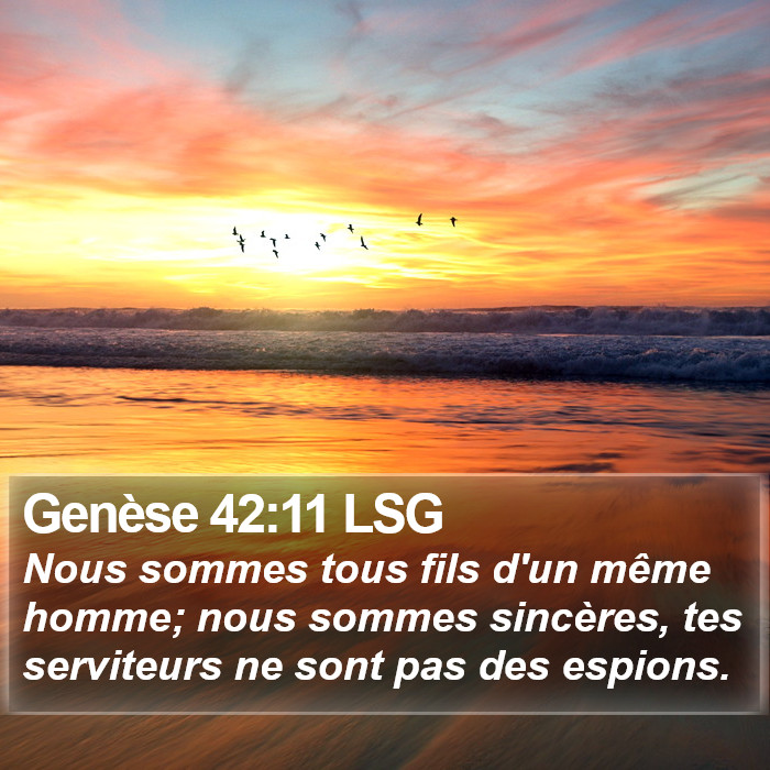 Genèse 42:11 LSG Bible Study