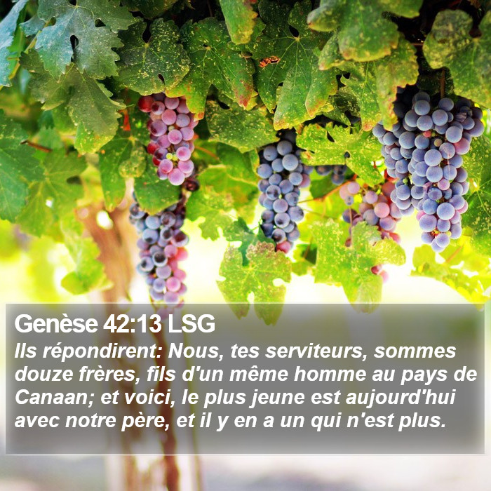 Genèse 42:13 LSG Bible Study